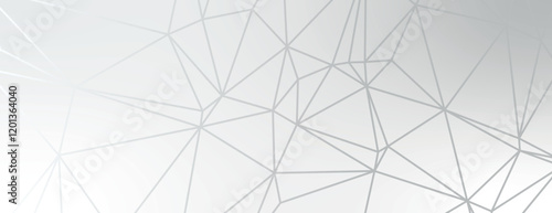 Geometric background with a modern style. The background is light gray with a subtle gray texture. Abstract lines enhance the background. Modern abstract geometric minimal background vector