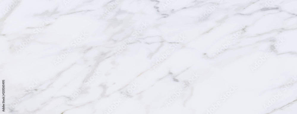 Marble background with a white background and subtle gray veins. The background has a smooth, elegant marble texture. White and gray background. Elegant marble texture background vector Marble background with a white background and subtle gray veins. The background has a smooth, elegant marble texture. White and gray background. Elegant marble texture background vector