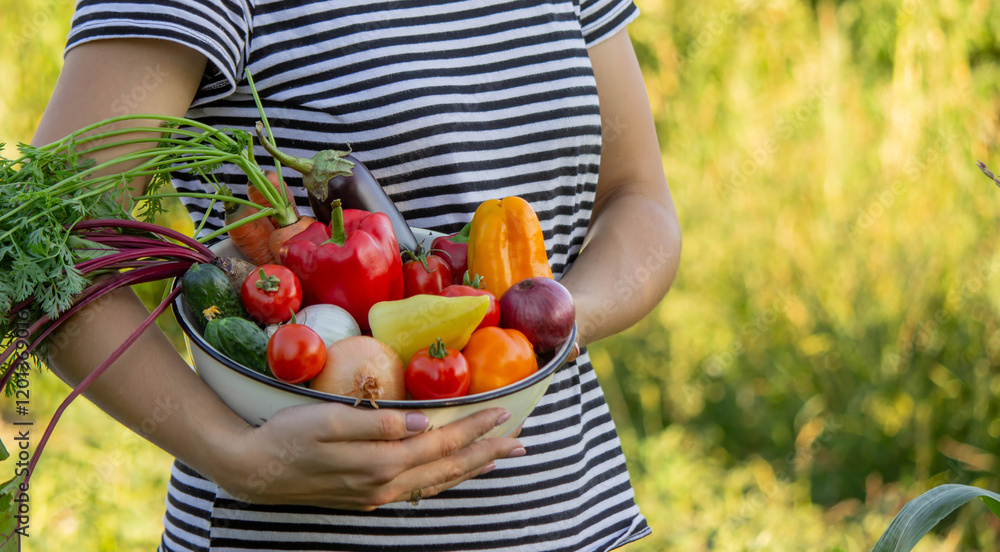 Fototapeta premium Female farmer holding bowl with fresh vegetables, harvesting in garden