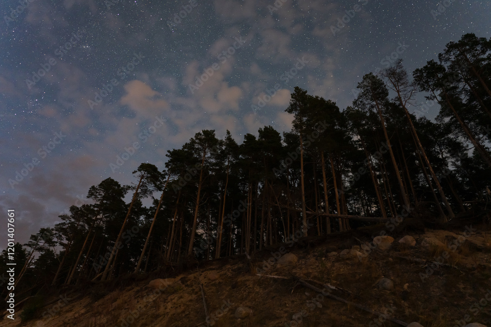 Night landscape with a pine forest on the seashore, starry sky and Milky Way. Calm atmosphere, beauty of nature. Night landscape with a pine forest on the seashore, starry sky and Milky Way. Calm atmosphere, beauty of nature.
