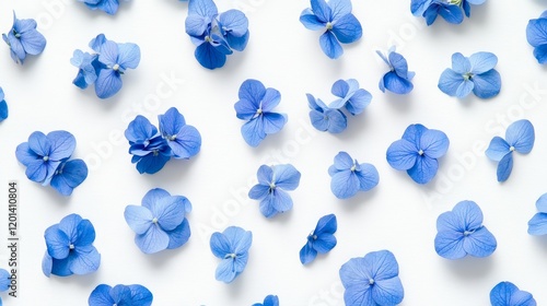 Wallpaper Mural A pattern of blue hydrangea flowers scattered on a white background, flat lay photography, minimalist style, high resolution.  Torontodigital.ca