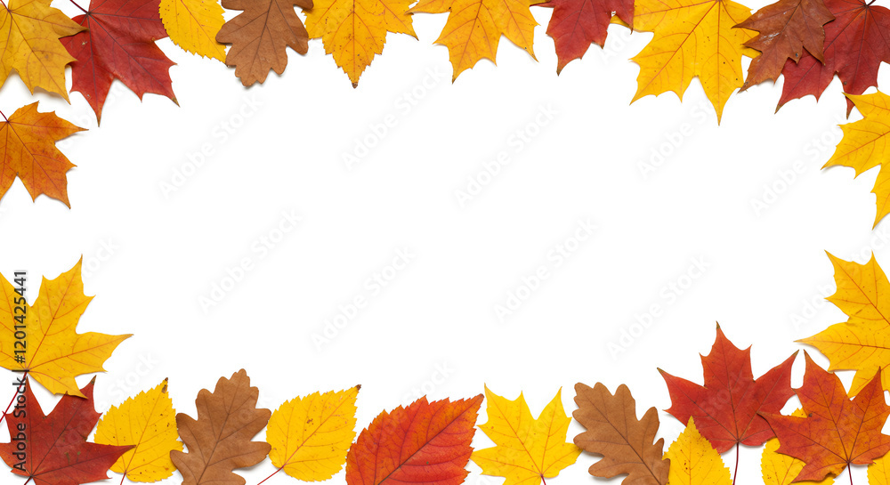 frame made of leaves frame made of leaves