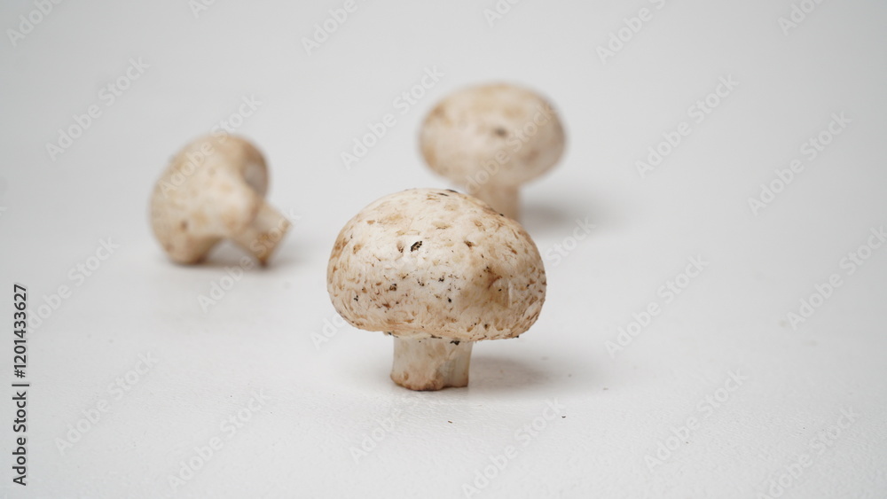 Fresh champignons mushroom isolated on white background Fresh champignons mushroom isolated on white background
