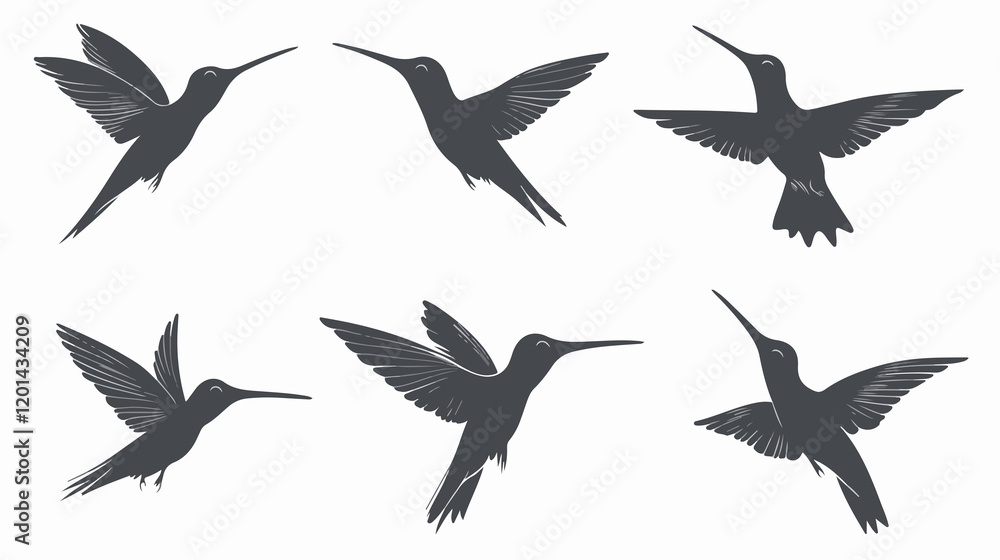 Detailed Hummingbird Silhouettes Set for Isolated Flat Vector Illustration Detailed Hummingbird Silhouettes Set for Isolated Flat Vector Illustration