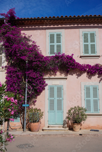 old house with flowers