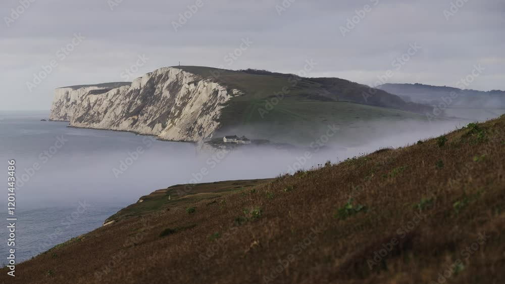 A foggy hillside overlooking the ocean. The misty atmosphere gives the scene a serene and peaceful mood A foggy hillside overlooking the ocean. The misty atmosphere gives the scene a serene and peaceful mood