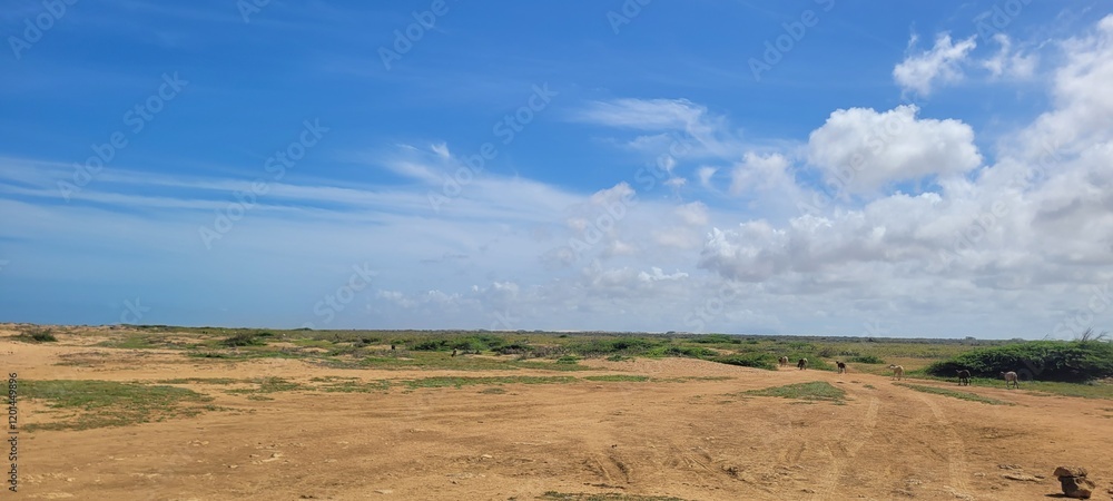Fototapeta premium Naturaleza: sobreviviendo al límite