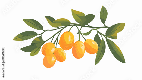 Detailed Kumquat Fruit Vector Illustration for Food Blogs and Graphic Designs
