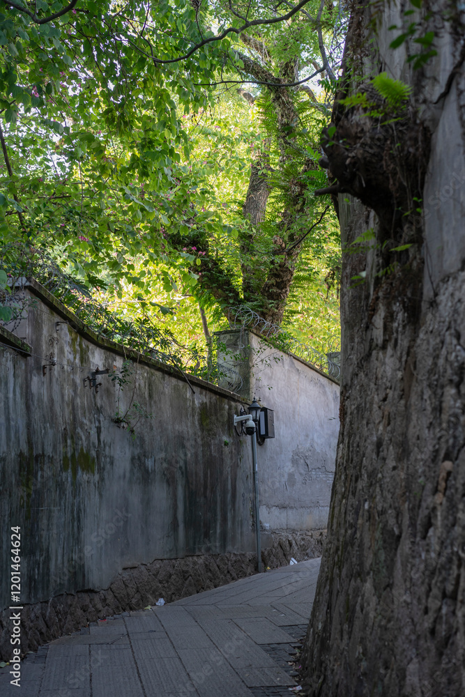 paths in the woods and historical wall paths in the woods and historical wall