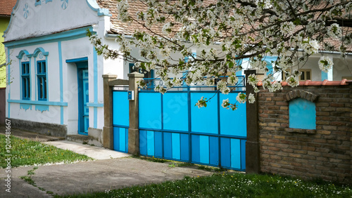Tableau sur toile spring blossom in rural village Backi Petrovac, Vojvodina