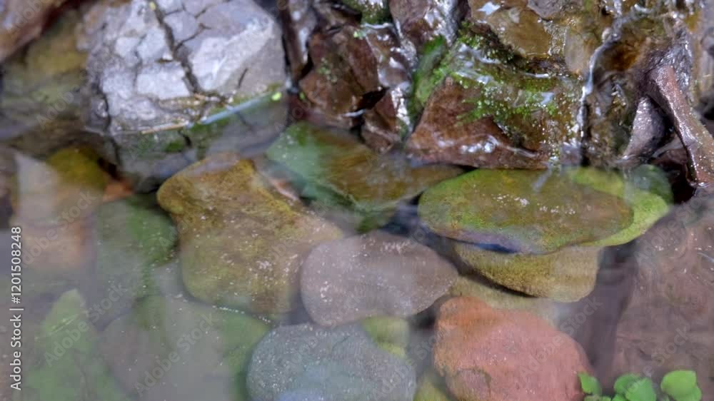 石を流れる水流のビオトープ 石を流れる水流のビオトープ