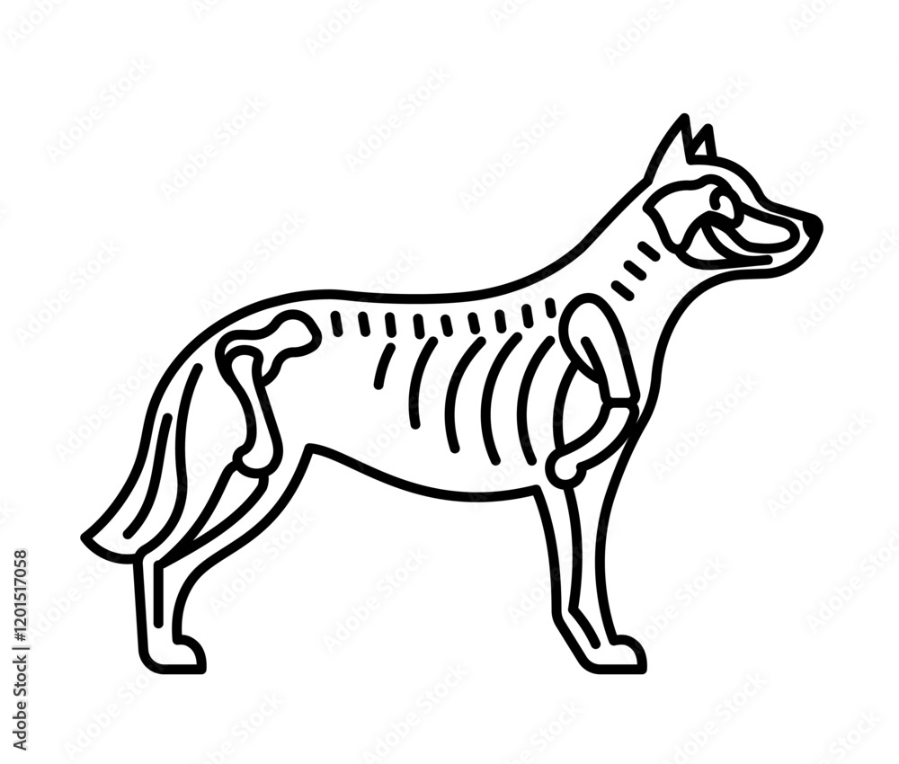 Fototapeta premium Skeleton of dog, line icon. Bones, skull, ribs, shoulder blades, spine - dog bone structure icon. Veterinary linear illustration, pictogram, editable strokes.