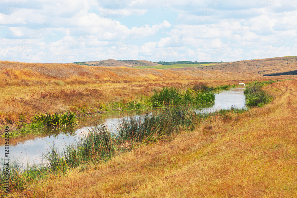 Tranquil countryside landscape with a narrow stream flowing through golden grass fields, bordered by green reeds under right blue sky with fluffy clouds. Serene rural scene perfect for stock imagery