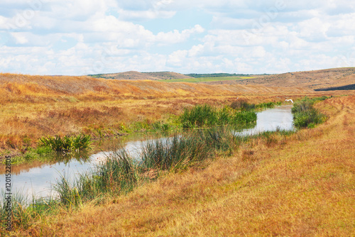 Obraz na płótnie Tranquil countryside landscape with a narrow stream flowing through golden grass fields, bordered by green reeds under right blue sky with fluffy clouds. Serene rural scene perfect for stock imagery w salonie