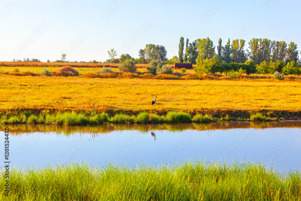 Peaceful rural scene featuring a calm pond reflecting golden grasslands, lush green reeds, and distant trees under a clear blue sky. A lone bird stands near the water, adding to the natural charm