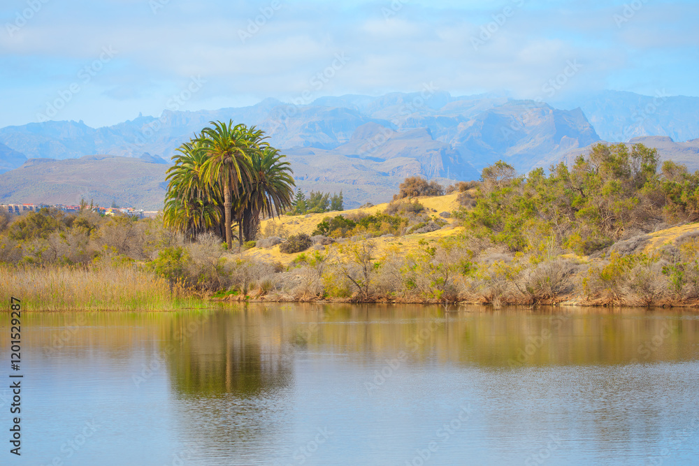 Landscape with calm lake and a cluster of palm trees and various shrubs and bushes along the shoreline. Background with rolling hills and distant mountains creating a picturesque and tranquil scene