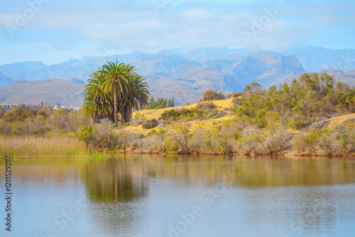 Obraz na płótnie Landscape with calm lake and a cluster of palm trees and various shrubs and bushes along the shoreline. Background with rolling hills and distant mountains creating a picturesque and tranquil scene w salonie