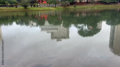 Reflection in the lake
