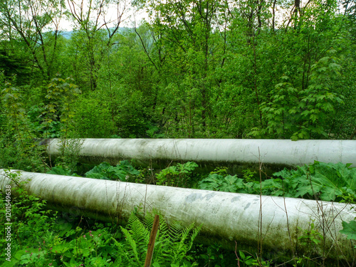 A rusty old pipeline overgrown with vegetation