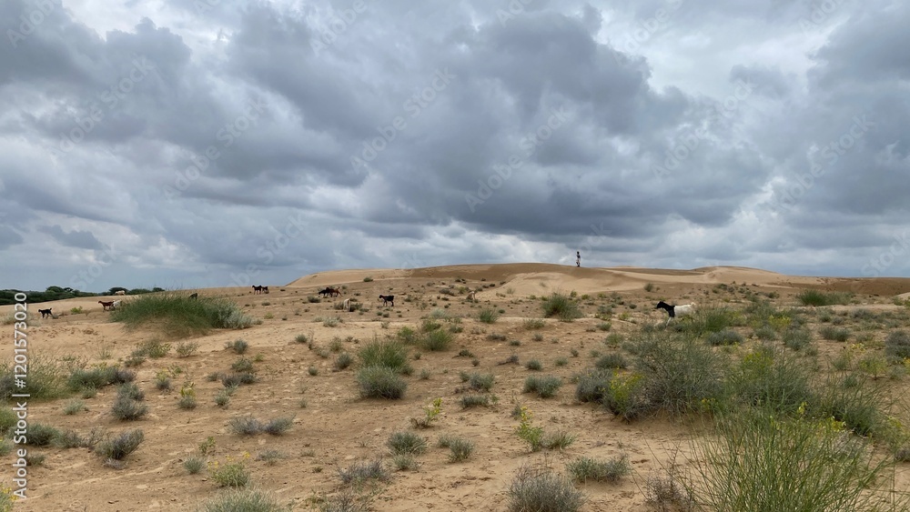 Jodhpur, India - Dec 15, 2025: - Barren land with dry soil under Cloudy sky. Sky Horizon Scene Jodhpur, India - Dec 15, 2025: - Barren land with dry soil under Cloudy sky. Sky Horizon Scene