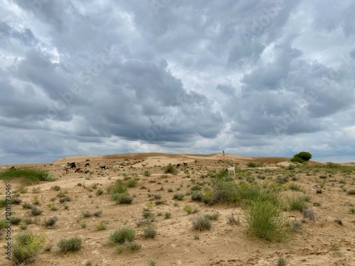 Jodhpur, India - Dec 15, 2025: - Barren land with dry soil under Cloudy sky. Sky Horizon Scene photo