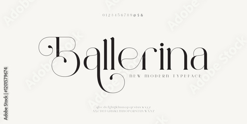 Premium luxury elegant alphabet letters and numbers. Elegant wedding typography classic serif font decorative vintage retro. Creative vector illustration 