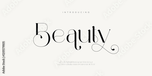 Beauty premium luxury elegant alphabet letters and numbers. Elegant wedding typography classic serif font decorative vintage retro. Creative vector illustration 