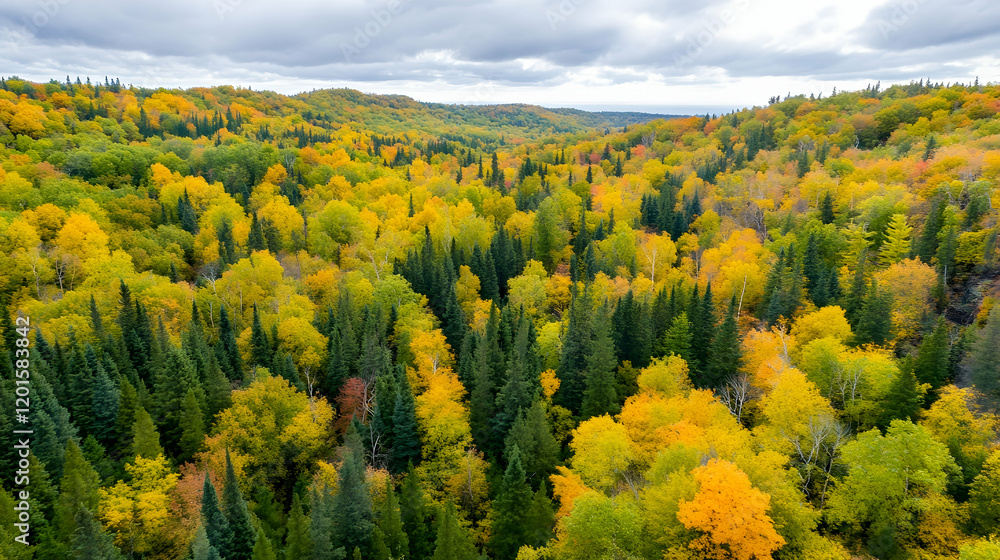 Aerial view of autumn forest valley, vibrant fall foliage, cloudy sky background, ideal for nature calendars Aerial view of autumn forest valley, vibrant fall foliage, cloudy sky background, ideal for nature calendars