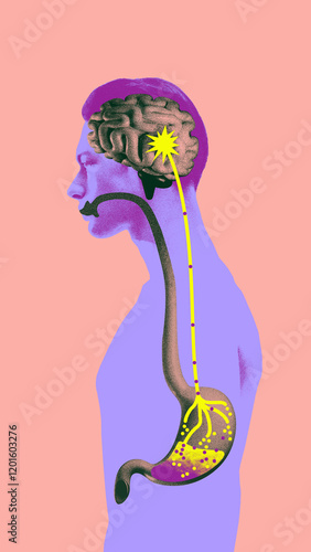 Fotografie Abstract side view of human anatomy showing connection between brain and stomach, symbolizing gut-brain axis and neural health