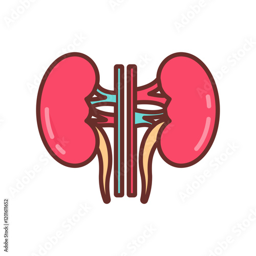Kidney Filled Icons , Vector illustration