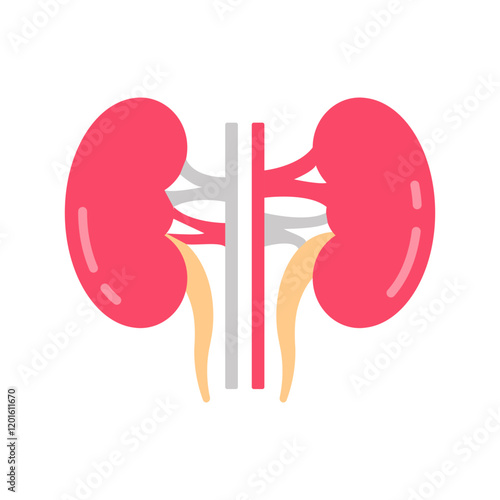 Kidney Flat Icons, Vector illustration