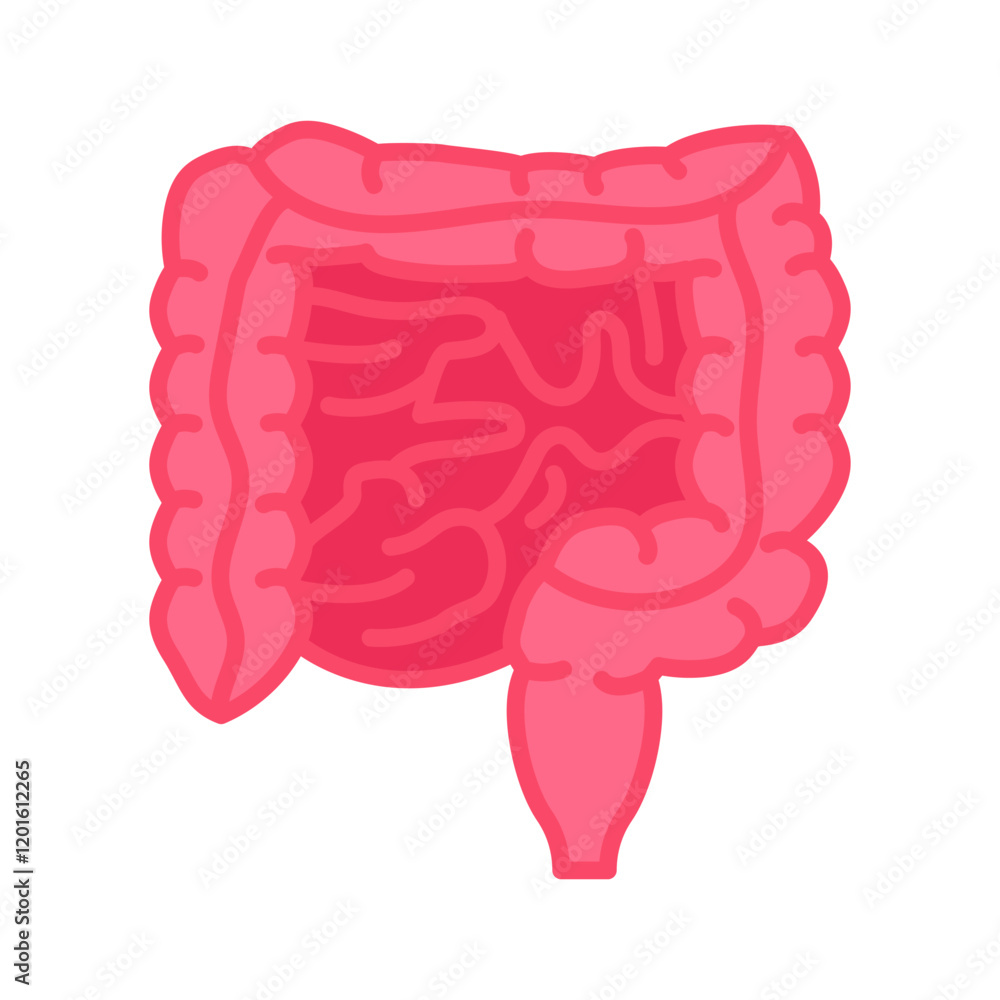 Intestines Flat Icons, Vector illustration Intestines Flat Icons, Vector illustration