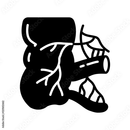 Appendix Glyph Icon, Vector illustration