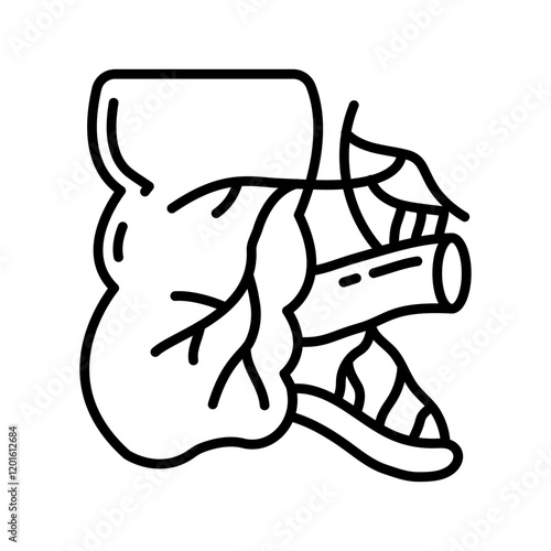 Appendix Outline Icon, Vector illustration
