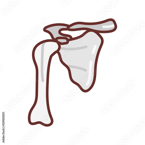Scapula Filled Icons , Vector illustration