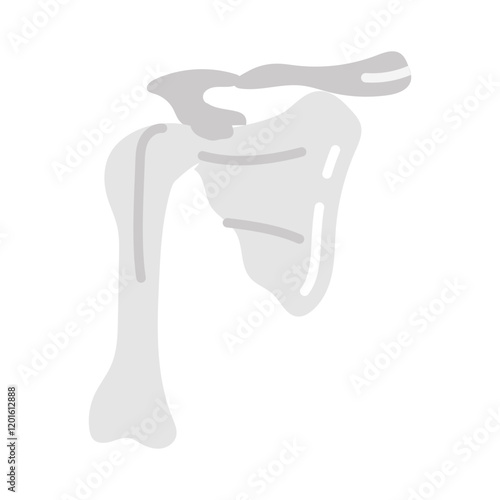 Scapula Flat Icons, Vector illustration