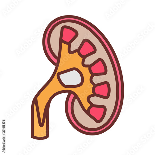 Renal Pelvis Filled Icons , Vector illustration