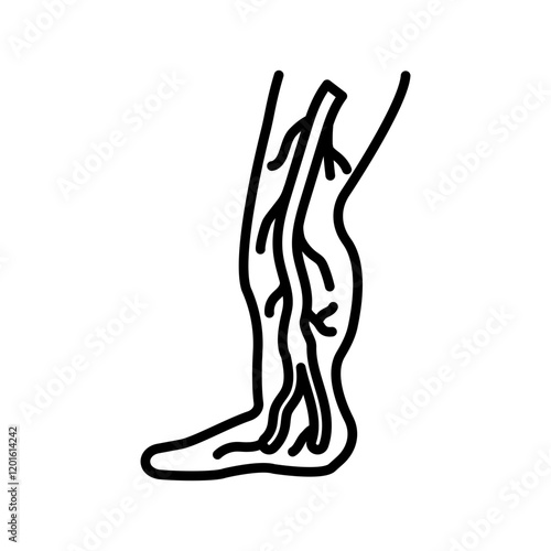 Anterior Tibial Vein Outline Icon, Vector illustration