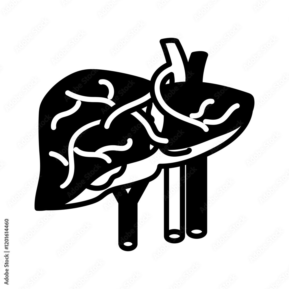 Portal Vein Glyph Icon, Vector illustration