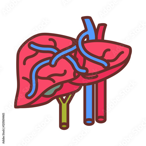 Portal Vein Filled Icons , Vector illustration