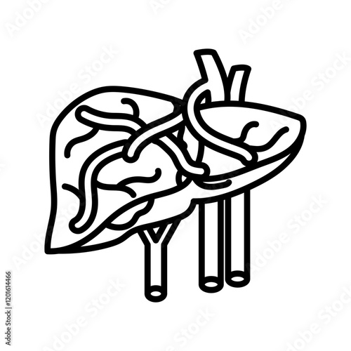 Portal Vein Outline Icon, Vector illustration