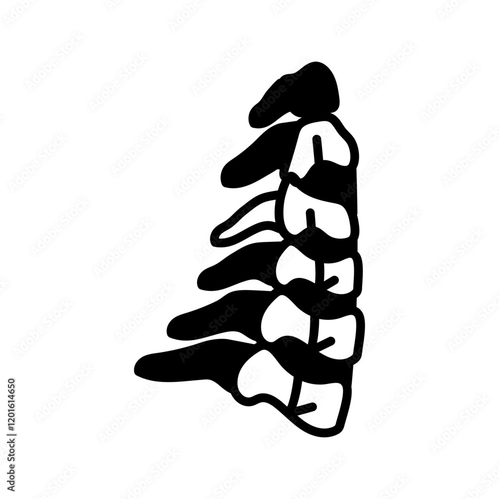 Neck Bone Glyph Icon, Vector illustration Neck Bone Glyph Icon, Vector illustration