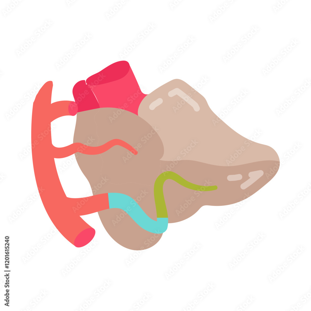 Cerebellar Arteries Flat Icons, Vector illustration Cerebellar Arteries Flat Icons, Vector illustration