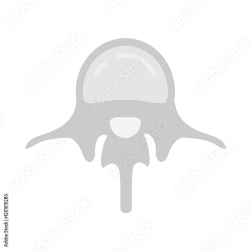 Lumbar Vertebra Flat Icons, Vector illustration photo