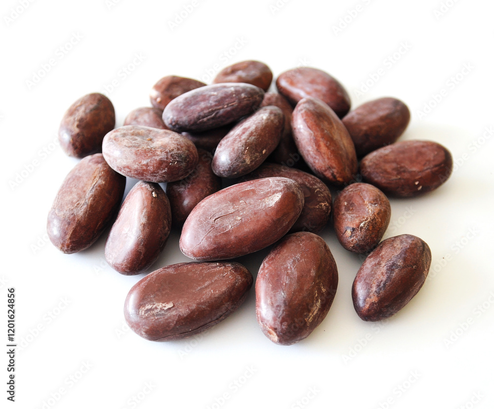 Cocoa beans scattered on a white surface showcasing their rich brown color and unique oval shapes Cocoa beans scattered on a white surface showcasing their rich brown color and unique oval shapes