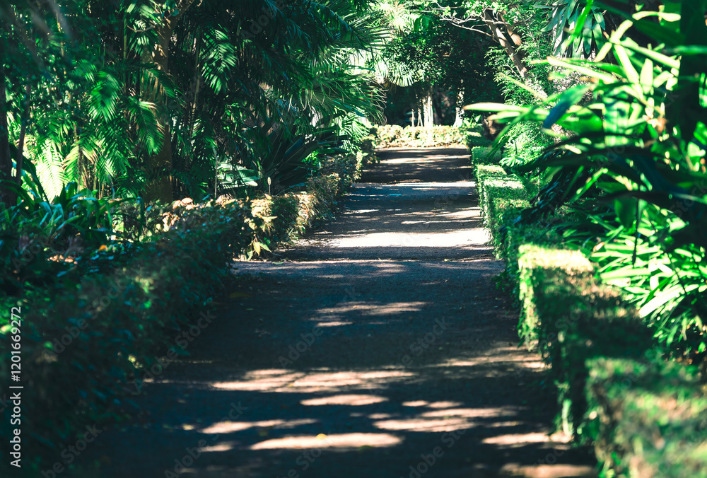 Shaded pathway surrounded by lush green vegetation, including various types of plants and trees. Pathway is bordered by low hedges, creating serene and inviting atmosphere likely tropical park setting