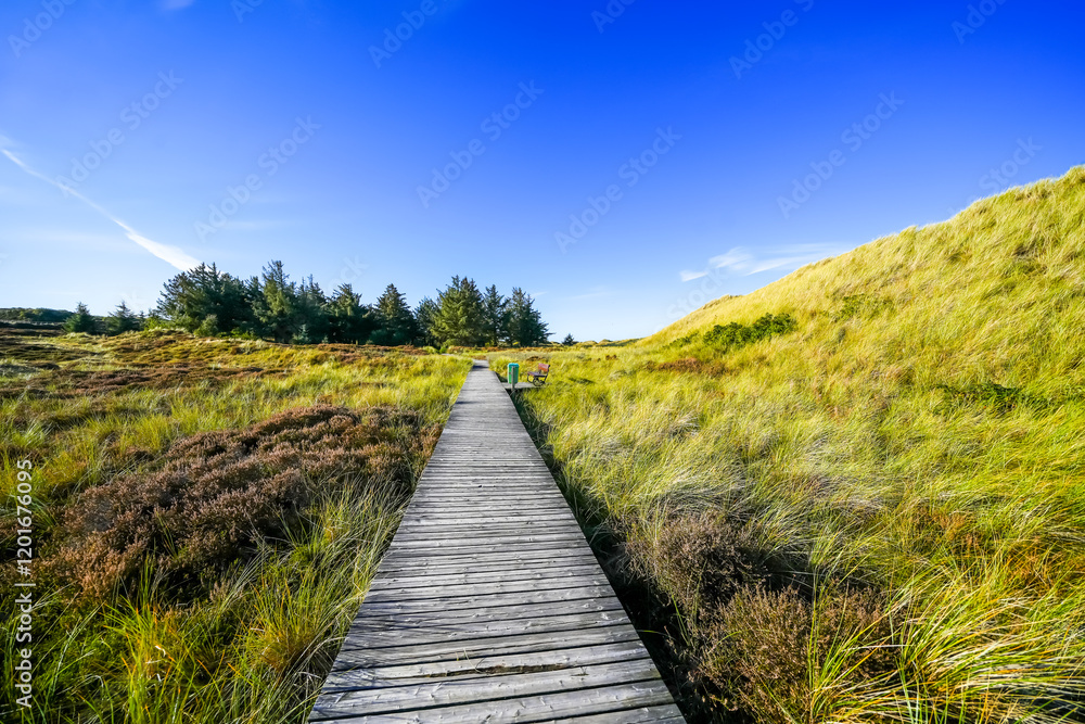 View of the dunes on the North Frisian island of Amrum. Landscape in the north. Nature on the North Sea island.
View of the dunes on the North Frisian island of Amrum. Landscape in the north. Nature on the North Sea island.