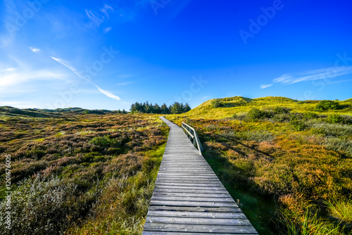 Wallpaper Mural View of the dunes on the North Frisian island of Amrum. Landscape in the north. Nature on the North Sea island.
 Torontodigital.ca