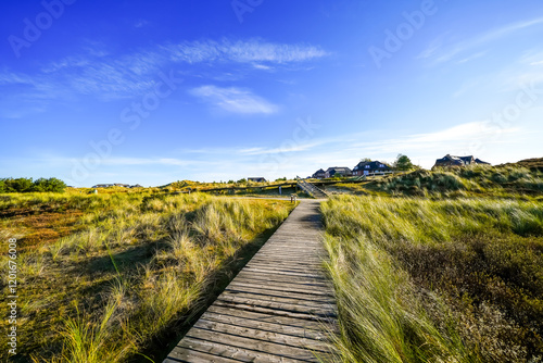 Wallpaper Mural View of the dunes on the North Frisian island of Amrum. Landscape in the north. Nature on the North Sea island.
 Torontodigital.ca