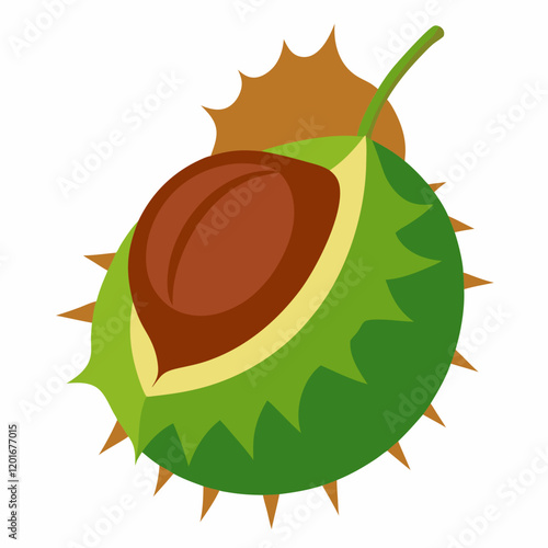 vector illustration of an chestnut